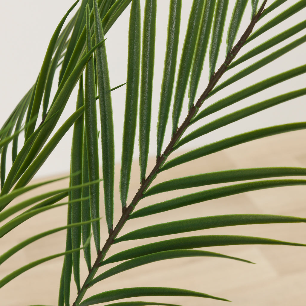 KWAI TREE - HOME DECORATION - 02