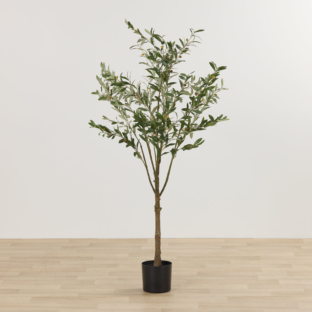 OLIVE TREE - HOME DECORATION - 01