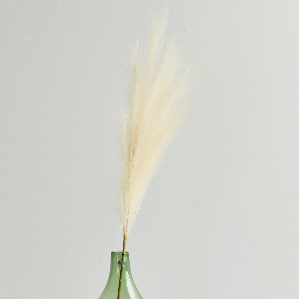 TOI TOI STEM - HOME DECORATION - 01