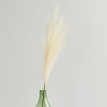 TOI TOI STEM - HOME DECORATION - 01