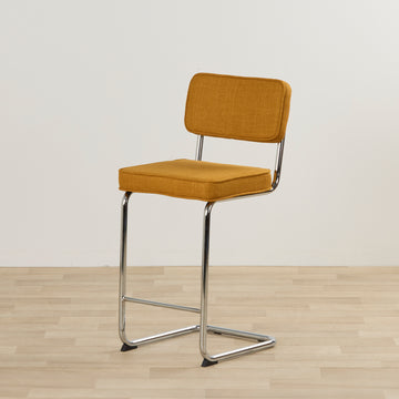 24583_AMB_01