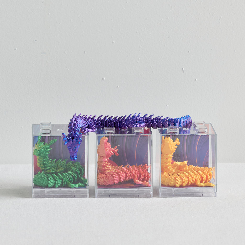 3D SENSORY DRAGON - GIFTS & GADGETS - 02