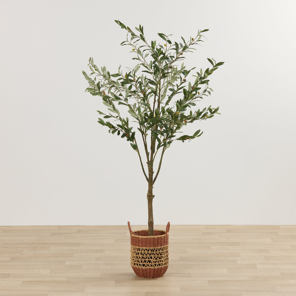 OLIVE TREE - HOME DECORATION - 03