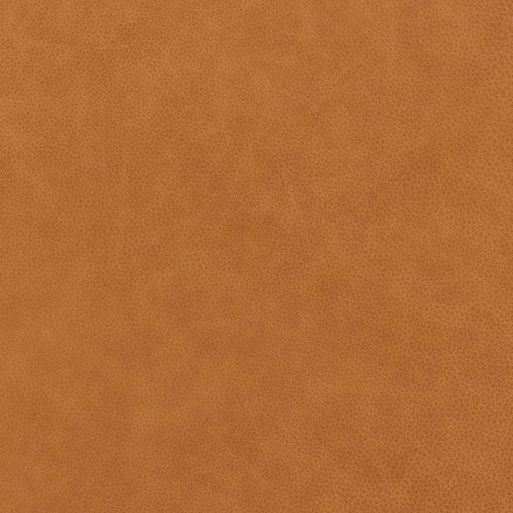 18174_TAN_07