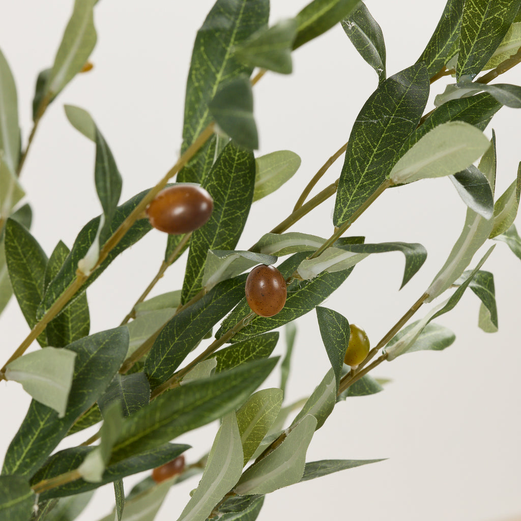 OLIVE TREE - HOME DECORATION - 02