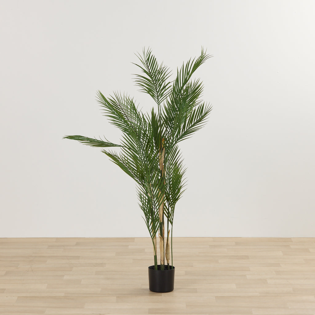 KWAI TREE - HOME DECORATION - 01