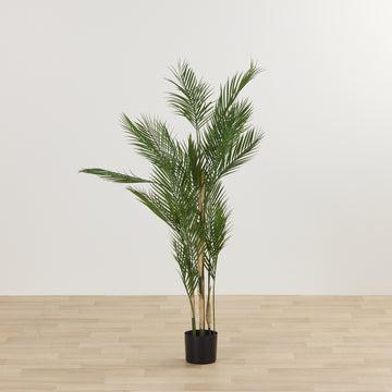 KWAI TREE - HOME DECORATION - 01